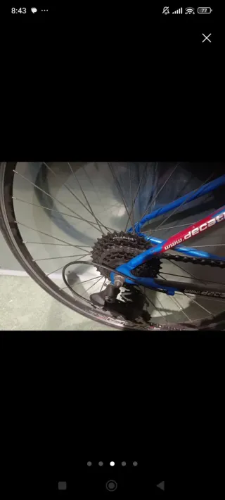 Bicicleta da strada 24 speciale per la scuola