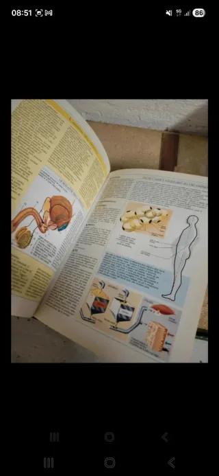 Lotto 12 libri medicina "La grande medica "