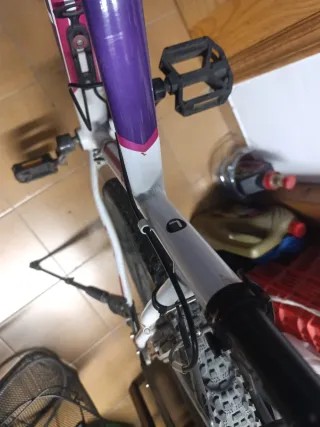 Bicicleta montaña con todos los accesorios