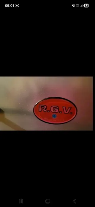 Affettatrice professionale RGV acciaio