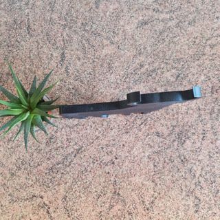 Toro decorativo negro