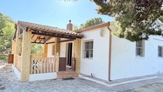 Campo a tan solo 10 minutos de Elche!!