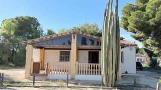 Campo a tan solo 10 minutos de Elche!!