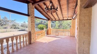 Campo a tan solo 10 minutos de Elche!!