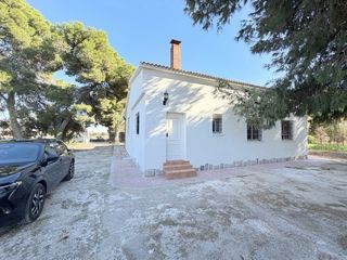 Campo a tan solo 10 minutos de Elche!!