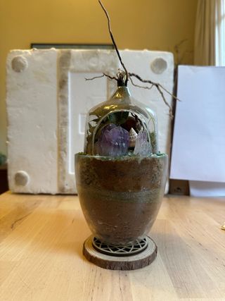 Terrario con plantas, cristales y conchas