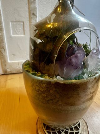 Terrario con plantas, cristales y conchas