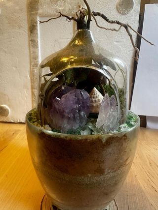 Terrario con plantas, cristales y conchas