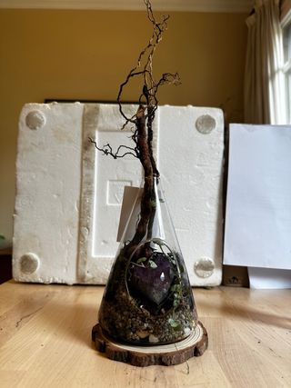 Terrario plantas, amatista y conchas