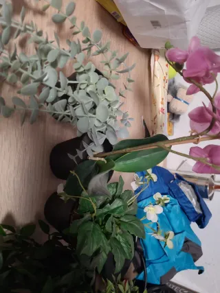 Plantas artificiales Ikea