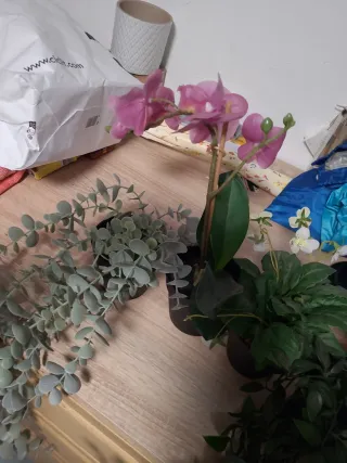 Plantas artificiales Ikea