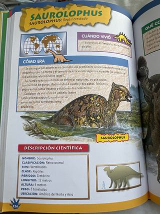 Gran libro de los dinosaurios (Spanish Edition)