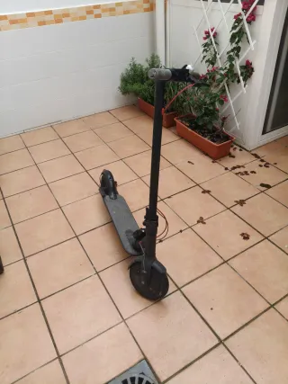 Patinete Eléctrico Xiaomi