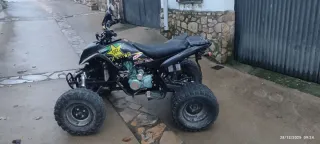 Quad Wildlander Dune (Cáceres)