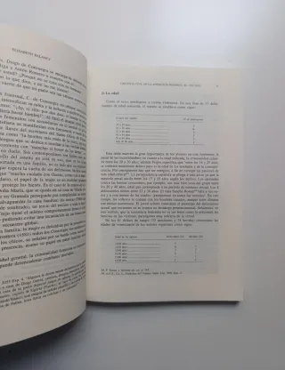 Violencia civil en la Andalucía Moderna (XVI-XVII)