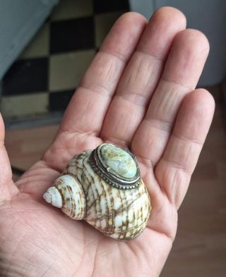 Caja decorativa concha marina