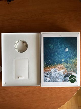 iPad Pro 12.9 Wi-Fi 256GB con Apple Pencil
