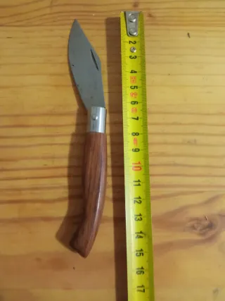 6 Artículo decoración colección