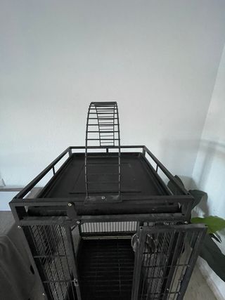 Jaula grande para loro