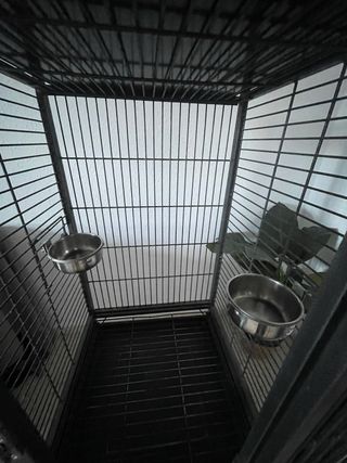 Jaula grande para loro