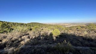 Terreno en venta en Osuna