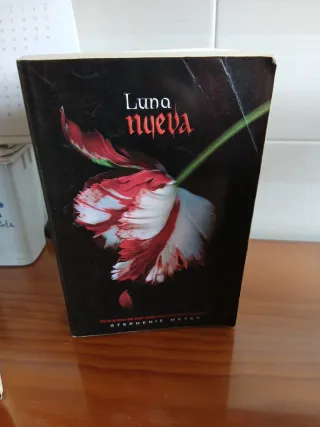 Crepúsculo (Saga Crepúsculo 1) (Spanish Edition)