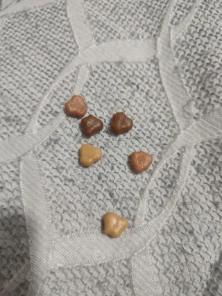 Peluche perro dálmata con correa