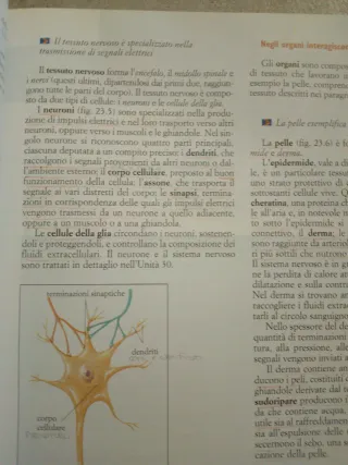 Corso di biologia - volumi 1 e 2 e quaderno