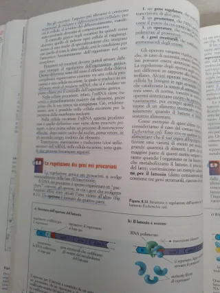 Corso di biologia - volumi 1 e 2 e quaderno