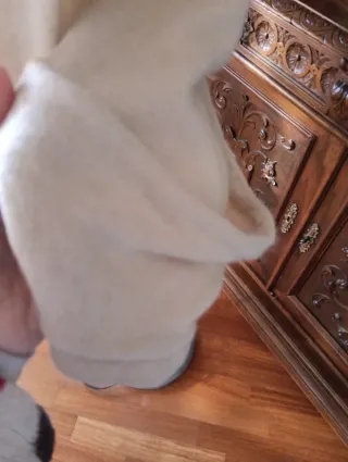 Cardigan Miss Grant lana, cachemire, angora