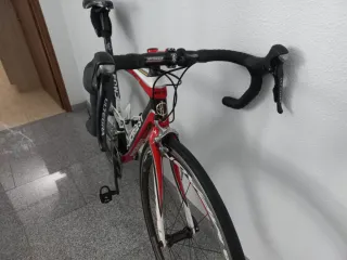 Bicicleta Fondriest Carbono