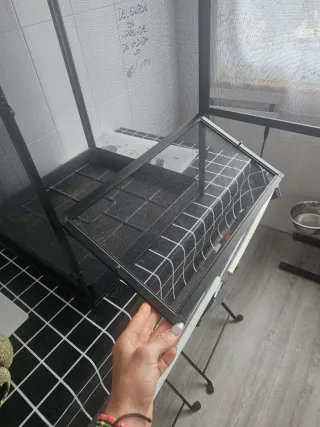 Terrario para camaleón