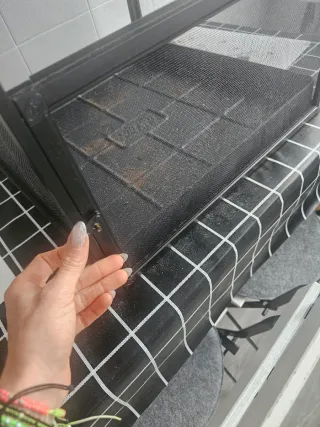 Terrario para camaleón