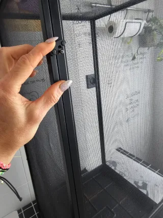 Terrario para camaleón