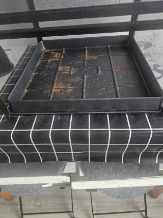 Terrario para camaleón