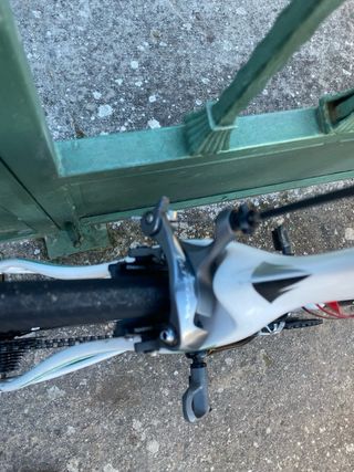 Bici da strada FUJI C.Rural