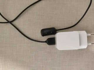 Amazfit T-Rex Beige/Gris