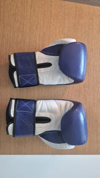 Guantes Boxeo Morales Box 10oz