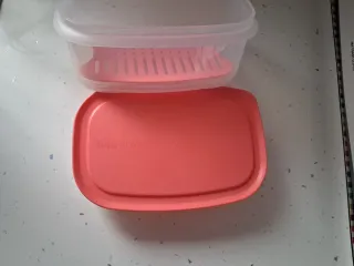 Tupperware Descongelar Rosa y Blanco