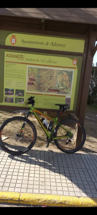 Bicicleta Bergamont Revox Ltd Carbono con pedali