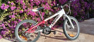 Bicicleta Infantil Conor 20 Pulgadas