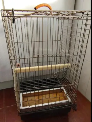 Jaula para loro gris con asa naranja