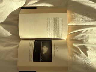 Sapiens. De animales a dioses