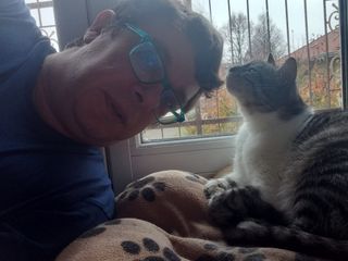 Cat Sitting a Vostro domicilio