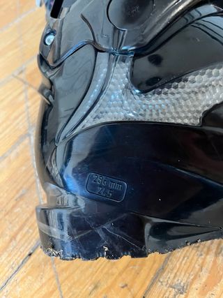 Bota de esquí Tecnica 8MAX 286 mm 24.5