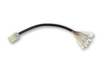 Cable adaptador luces traseras para Thruxton 1200