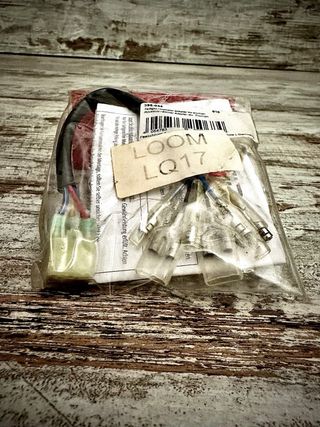 Cable adaptador luces traseras para Thruxton 1200