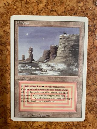 1x MTG Plateau Revised Near Mint