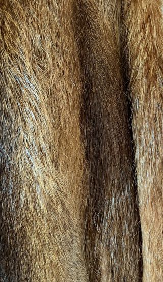 Abrigo Marrón de Pelo