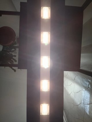Invernadero con luces de crecimiento para plantas